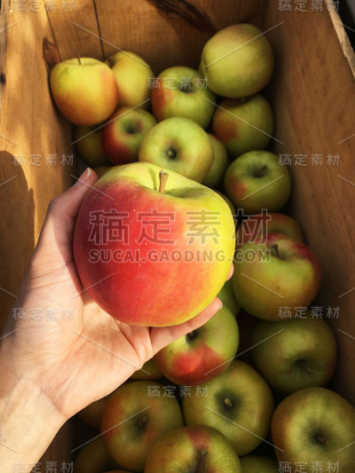 天然鲜红苹果水果