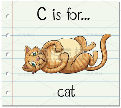 识字卡片上的字母C代表猫