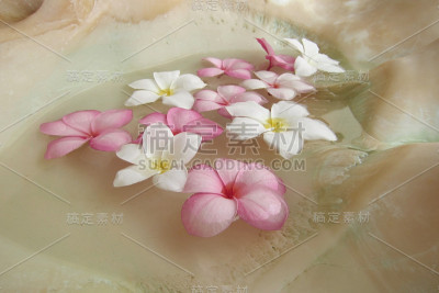 漂浮的花