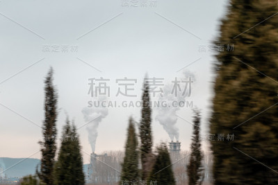 森林中的空气污染
