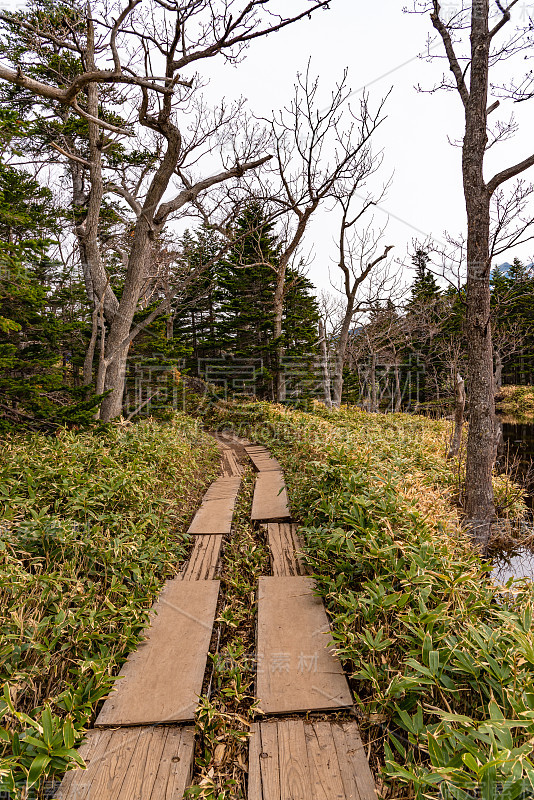 知床二湖五湖区。Nnatural美丽风景。知床国家公园