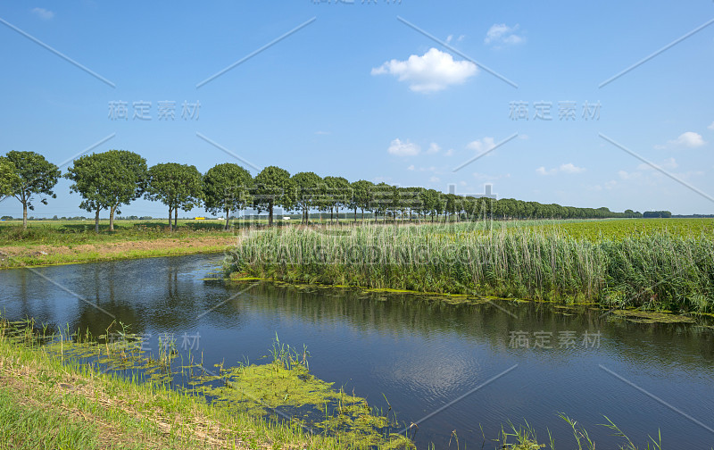 在夏天运河穿过乡村景观