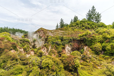 来自新西兰陶波月球陨石坑地热田的蒸汽