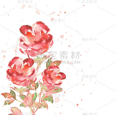 水彩的玫瑰