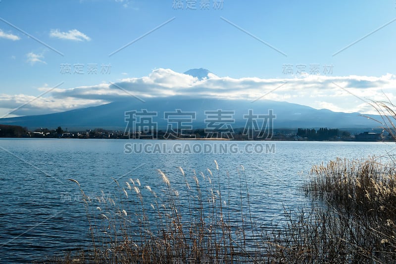 日本——从川口湖眺望富士山的田园诗般的景色