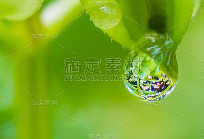 水滴
