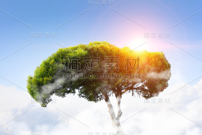 生态生活理念。多媒体的使用