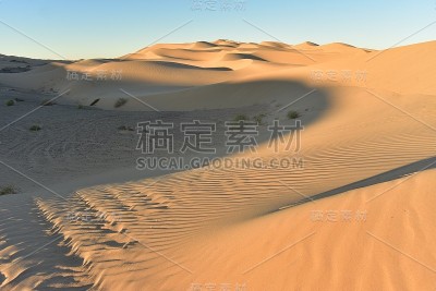 沙丘砂纹理金色晨光