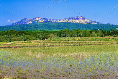 大屿山和稻田