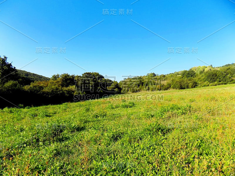 草地、森林和天空