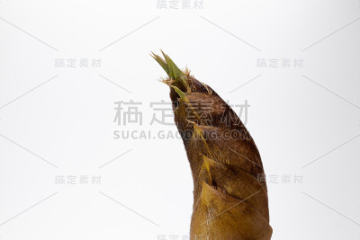 竹笋