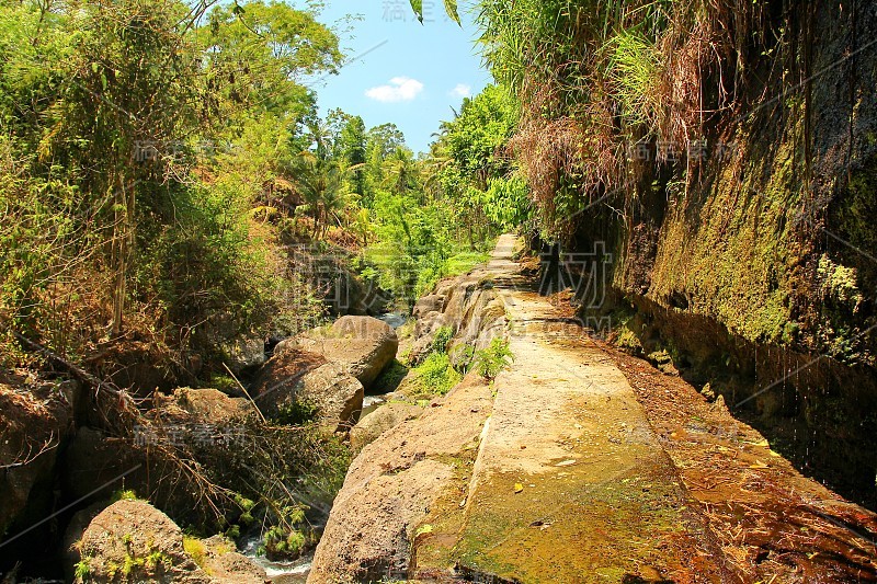 巴厘岛的热带河谷