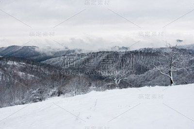 智慧山景观