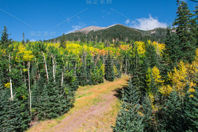 亚利桑那州雪碗在夏季在Flagstaff，亚利桑那州，美国。