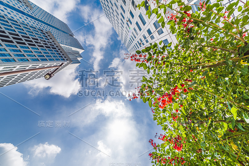 东京的天空