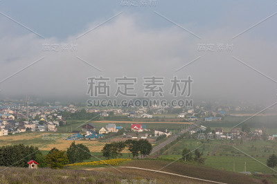 农场景色