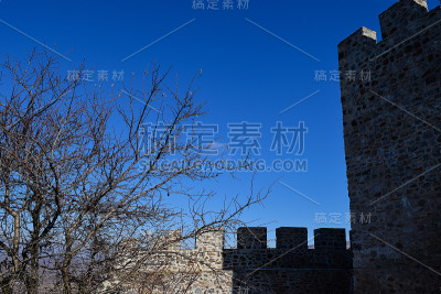马其顿的性质。石竹(石竹)山地森林