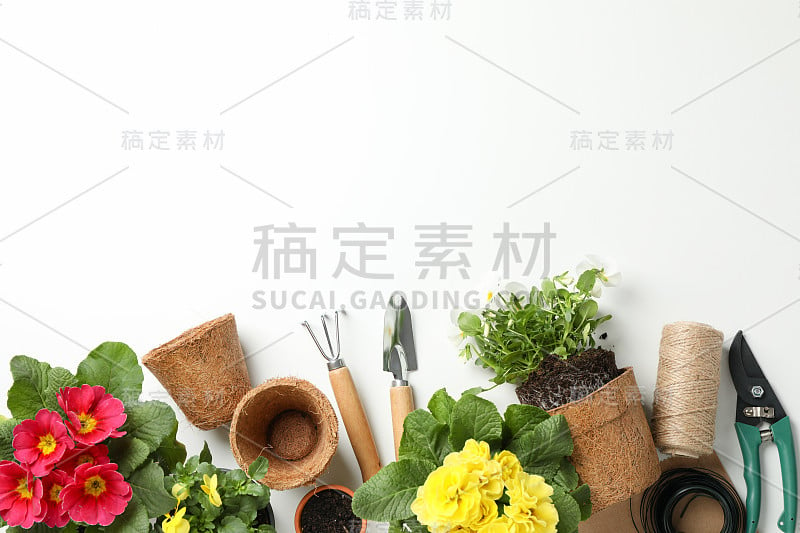 花和园艺工具上的白色背景，俯视图