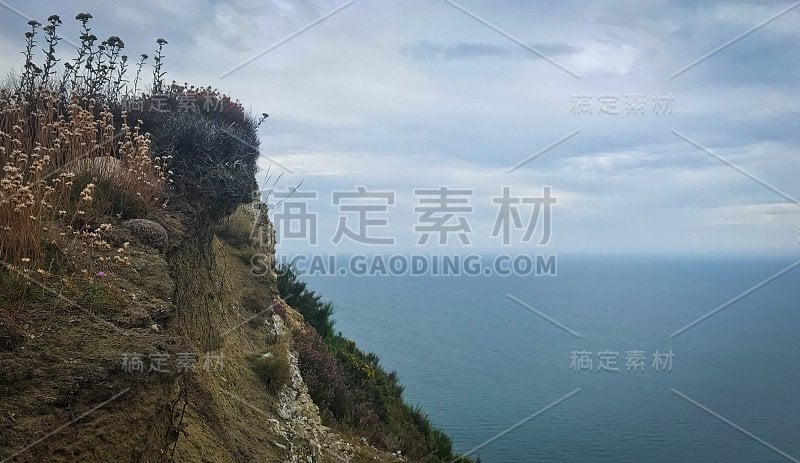 山上的绿色田野，背景是英吉利海峡和英国的乡村