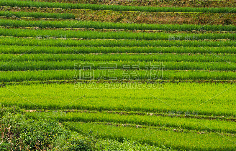 风景优美，梯田景色秀丽，位于木仓寨