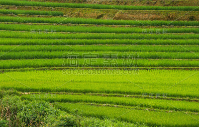 风景优美，梯田景色秀丽，位于木仓寨