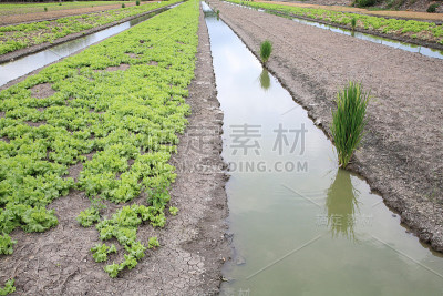 沟农场