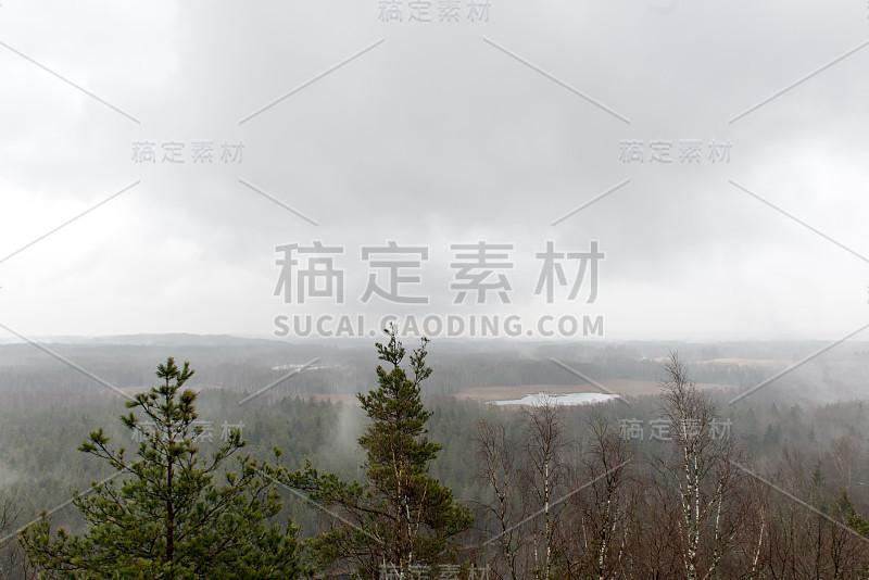 云雾雨林全景