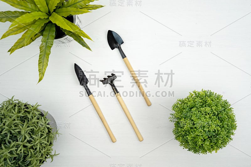 白色背景上的园艺工具和小型人造树。园林工程的概念。