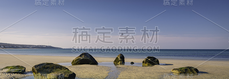 全景禅宗布局的七块岩石和一个高飞翔的海鸥在温暖的彩色沙滩
