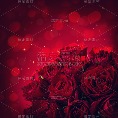 红色的玫瑰