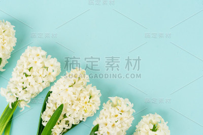 风信子和水仙花