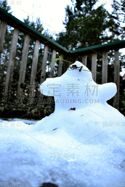 加利亚诺岛