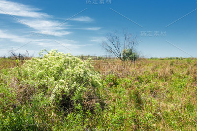 草原，草原，慈善，推翻