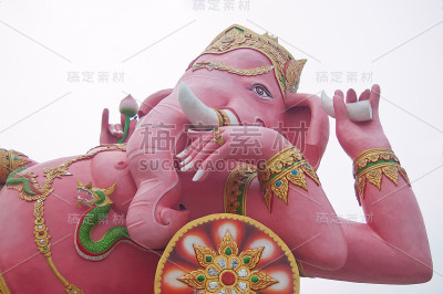 粉红色ganecha在放松的肖像，Wat Samarn，差春骚，泰国。