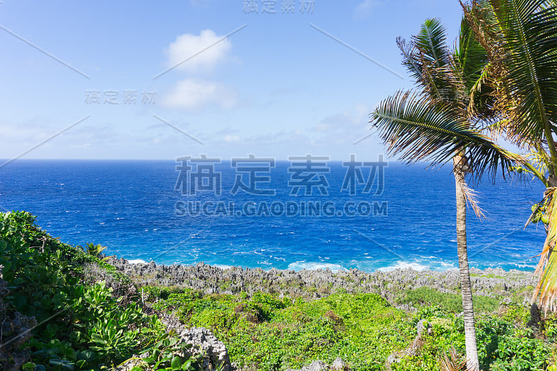 崎岖和锯齿状的海岸珊瑚沿多哥裂谷海岸与太平洋在纽埃