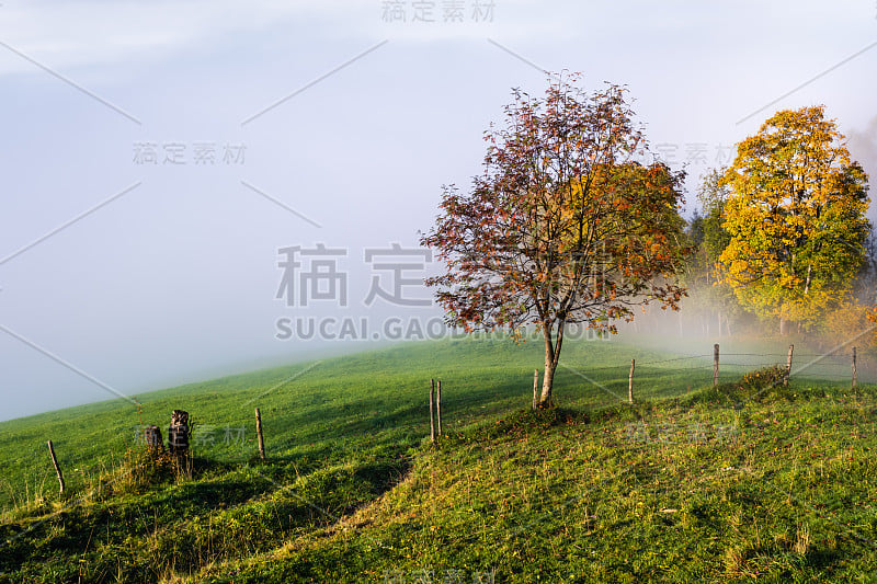 从多尔夫加斯泰因到帕尔辛湖徒步旅行的秋天早晨，宁静而雾蒙蒙的山景，奥地利萨尔茨堡。