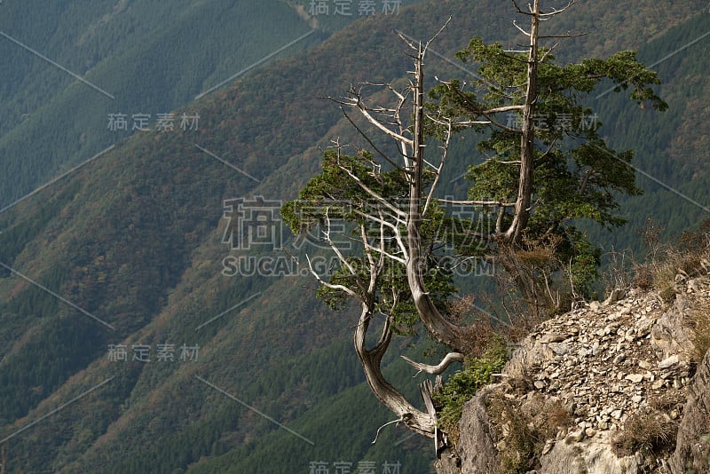 大原山景城，奈良，日本