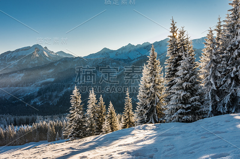 冬天的山景，太特拉山，早上好