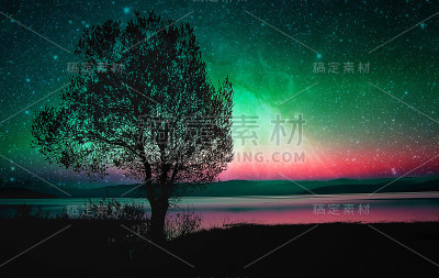 阳光树外星人