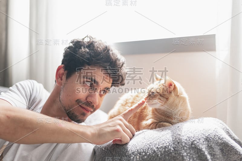 窗下的年轻人抚摸着一只棕色虎斑猫的口鼻。近距离