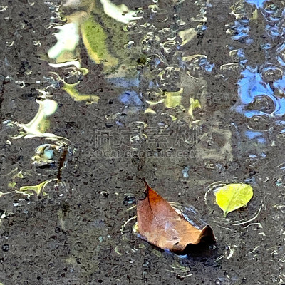 效果1