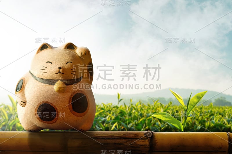 日本猫神猫是吉祥和金钱的吉祥物，以竹篱和绿茶种植园为背景