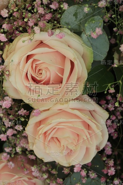 粉色玫瑰婚礼