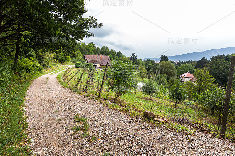 滨海郊区乡村道路花园村庄房屋，斯洛文尼亚自然。