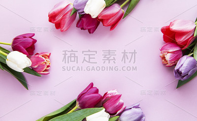 美丽的郁金香花束