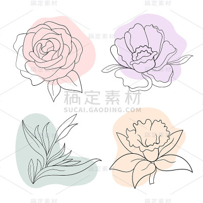 矢量线黑色插图图形花卉:牡丹，玫瑰，苍生花，水仙花与色斑