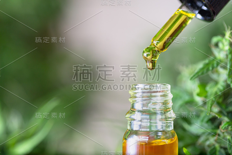 细节滴管与CBD油在大麻花背景，大麻油-医用大麻概念