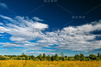 景观与混交林