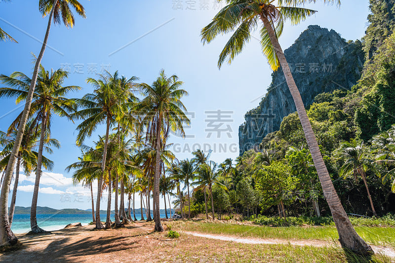 El Nido，巴拉望，菲律宾。热带海滩上的棕榈树，背景是悬崖峭壁。跳岛船在蓝色的海水中等待