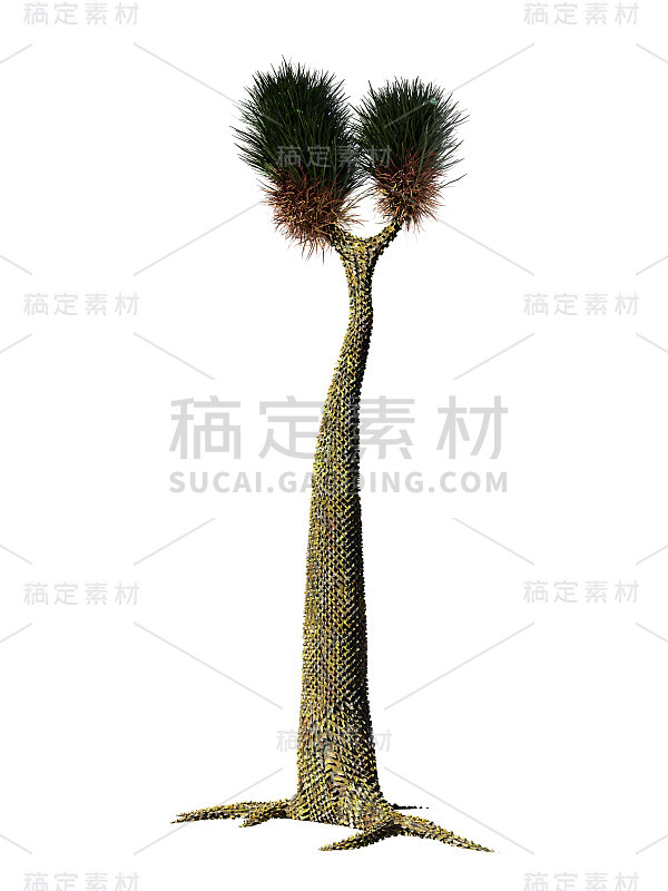 石炭纪和二叠纪的树状植物Sigillaria (3d科学插图)